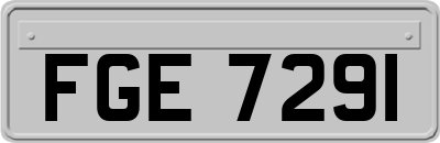 FGE7291