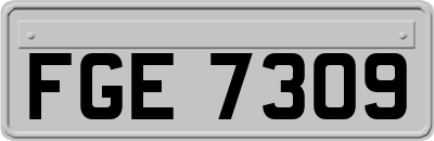 FGE7309
