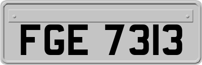 FGE7313