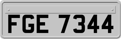 FGE7344