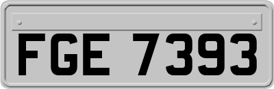 FGE7393