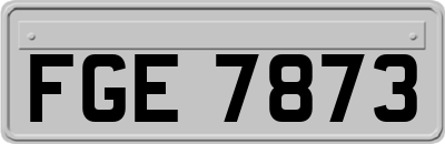 FGE7873
