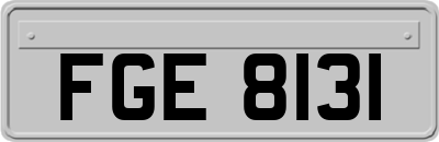 FGE8131