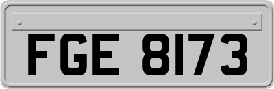 FGE8173