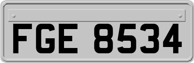 FGE8534