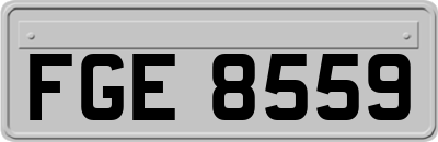 FGE8559