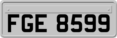 FGE8599