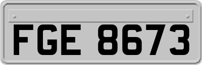 FGE8673