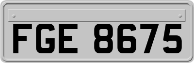 FGE8675