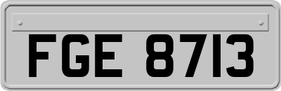 FGE8713