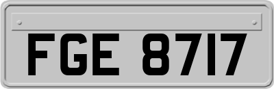 FGE8717