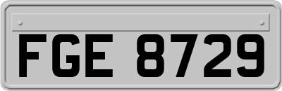 FGE8729