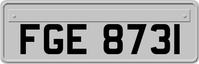 FGE8731