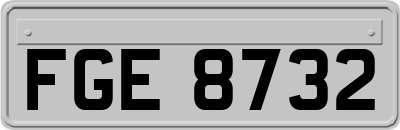 FGE8732