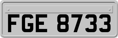 FGE8733