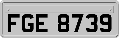 FGE8739