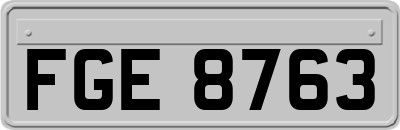 FGE8763