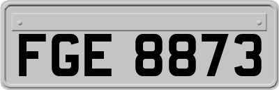 FGE8873