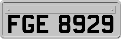 FGE8929