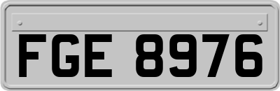 FGE8976