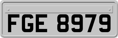 FGE8979