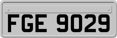FGE9029