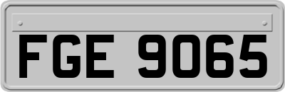 FGE9065