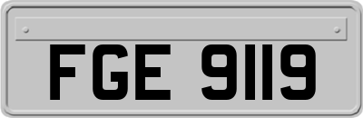 FGE9119
