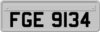 FGE9134
