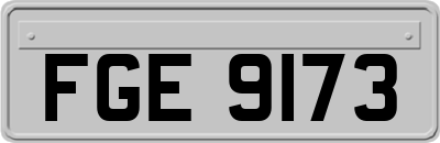 FGE9173