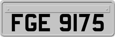 FGE9175