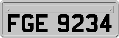FGE9234