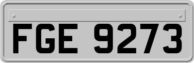 FGE9273