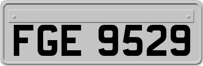 FGE9529
