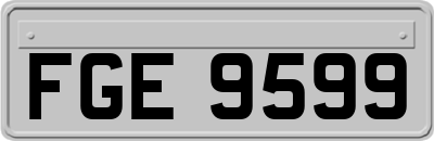 FGE9599
