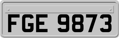 FGE9873