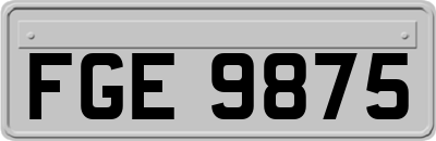 FGE9875