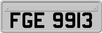 FGE9913