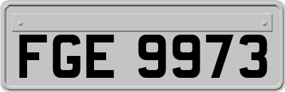FGE9973