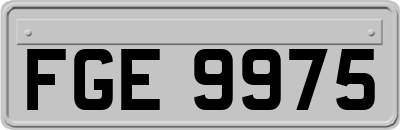FGE9975