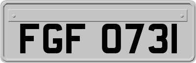 FGF0731