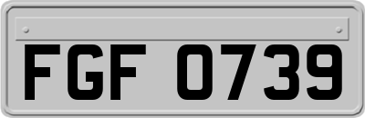 FGF0739