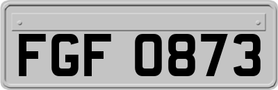 FGF0873
