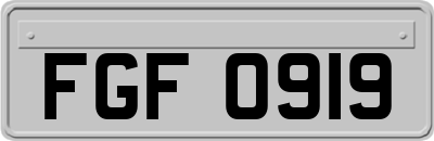 FGF0919