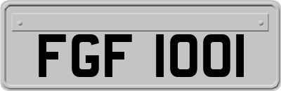 FGF1001