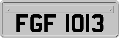 FGF1013