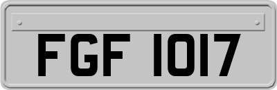 FGF1017
