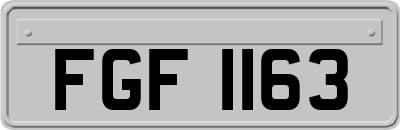 FGF1163