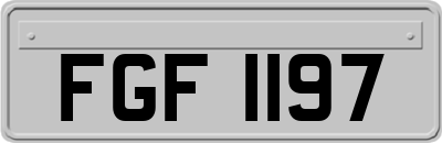 FGF1197