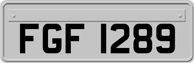 FGF1289